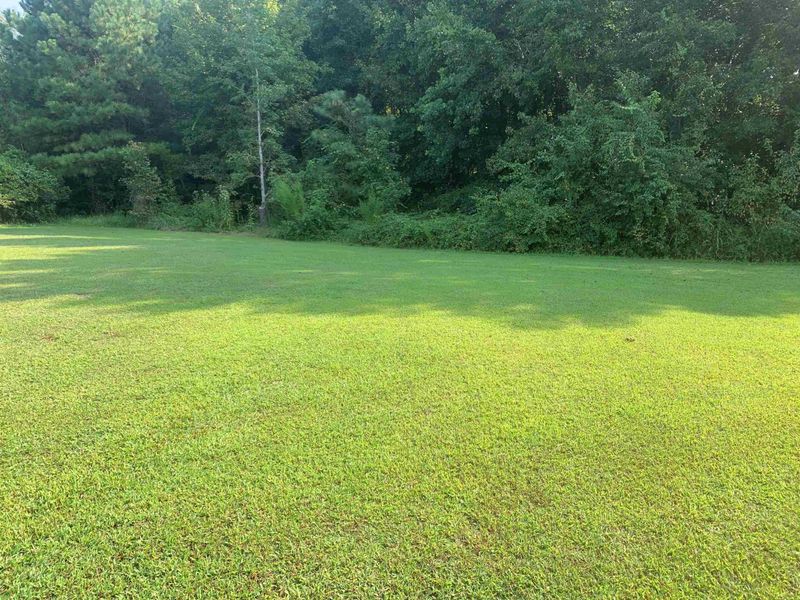 45 Cotton Dr, Louisburg, NC 27549