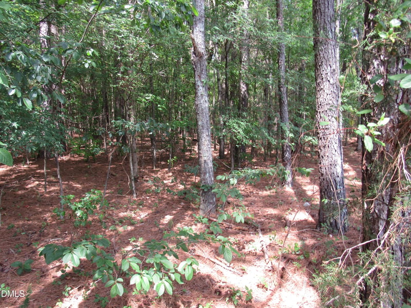 45 Mayodan Ln Lot 5, Franklinton, NC 27525