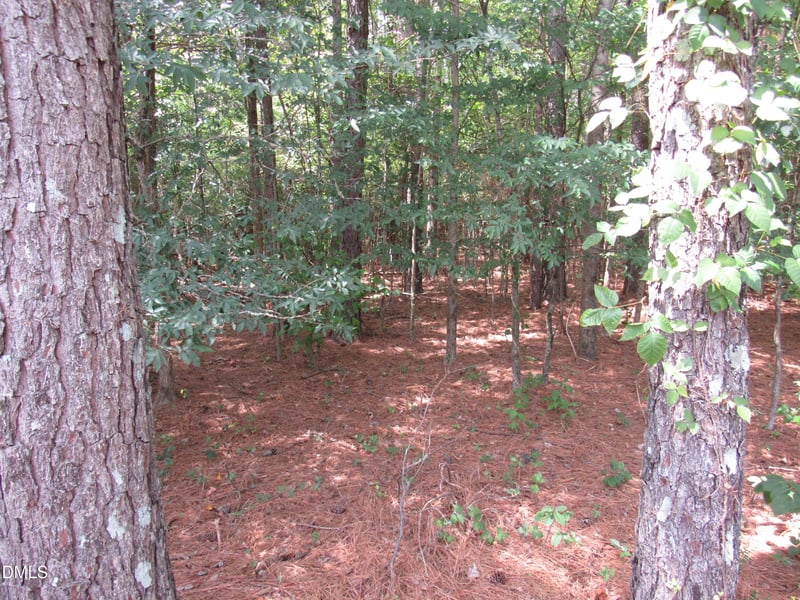 45 Mayodan Ln Lot 5, Franklinton, NC 27525