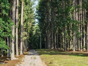 45 Softwood Dr, Franklinton, NC 27525