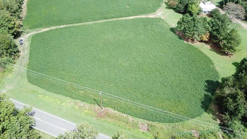 45.19 Acre Finch Ave, Middlesex, NC 27557