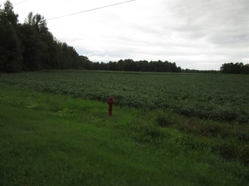45.19 Acre Finch Ave, Middlesex, NC 27557