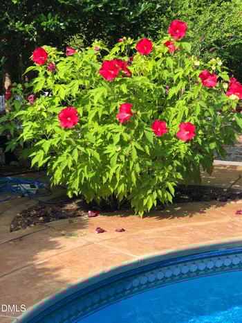 450 Ryan Rd, Pittsboro, NC 27312