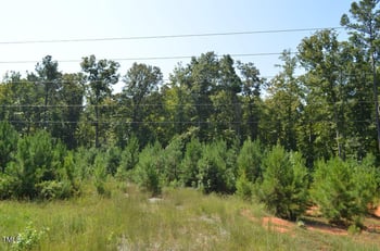 4500 Us 64 W, Pittsboro, NC 27312