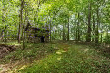 4508 Alice Dr, Oxford, NC 27565