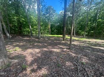4515 Buckhorn Rd, Sanford, NC 27330