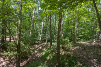 4515 Chicopee Trl, Durham, NC 27707