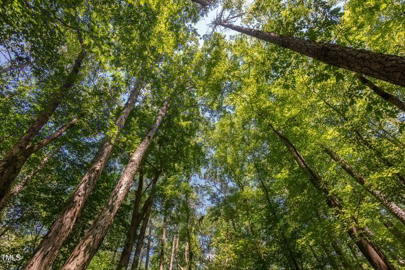 4515 Chicopee Trl, Durham, NC 27707