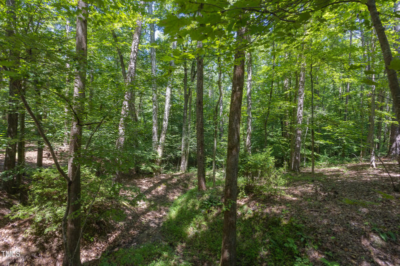 4515 Chicopee Trl Lot 11, Durham, NC 27707