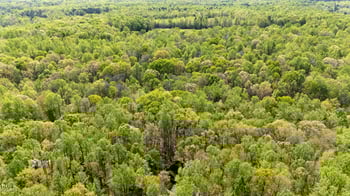 4524 Ridge Trl, Efland, NC 27243