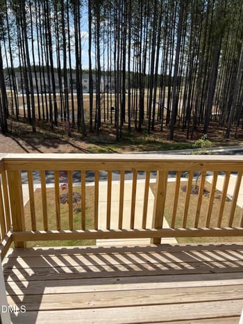 453 Carolina Springs Blvd, Apex, NC 27539