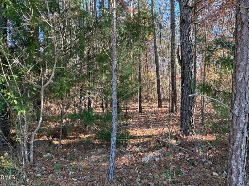 453 Golfers Vw, Pittsboro, NC 27312