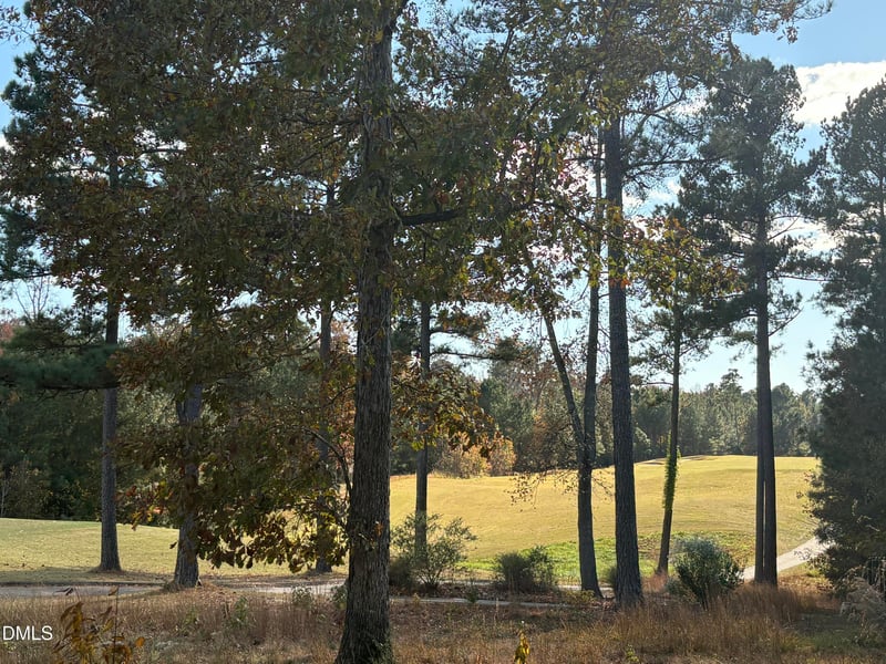 453 Golfers Vw, Pittsboro, NC 27312