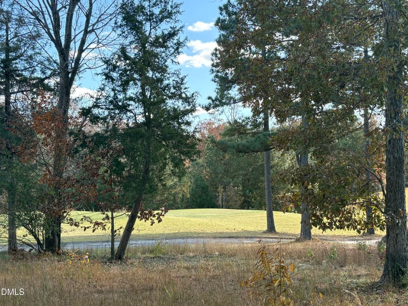 453 Golfers Vw, Pittsboro, NC 27312