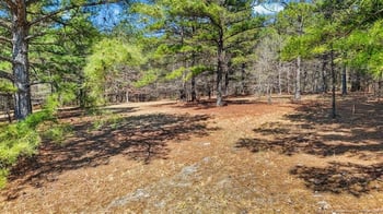 455 Broken Ridge Trl, West End, NC 27376