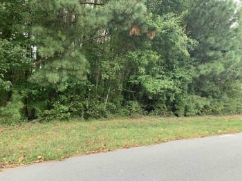 4553 Ashley View Ln, Oxford, NC 27565