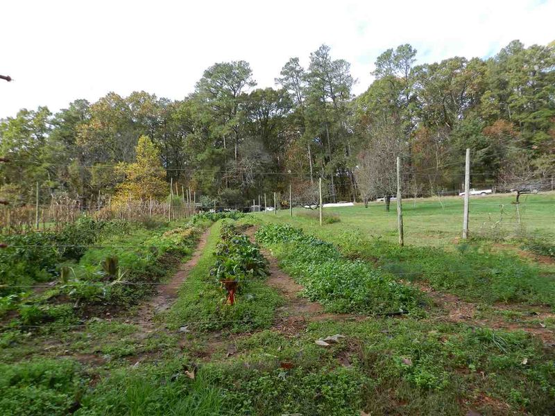 456 Friendly Pooch Ln, Pittsboro, NC 27312