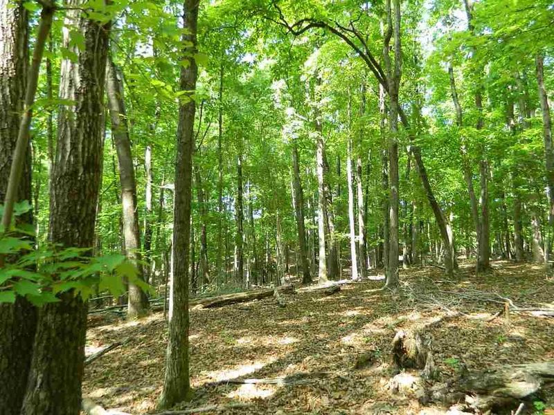 456 Osprey Ridge Dr Lot 6A, Chapel Hill, NC 27517