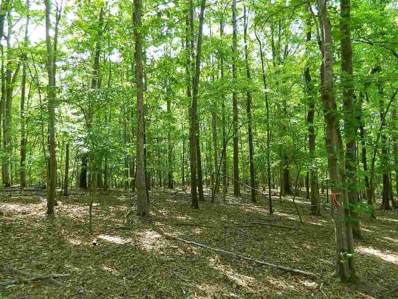 456 Osprey Ridge Dr Lot 6A, Chapel Hill, NC 27517