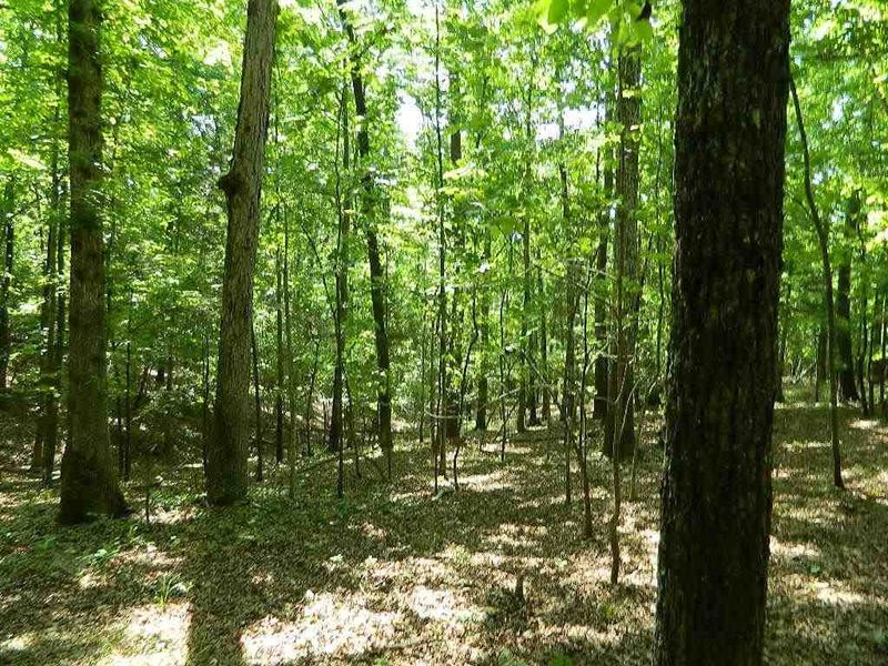 456 Osprey Ridge Dr Lot 6A, Chapel Hill, NC 27517