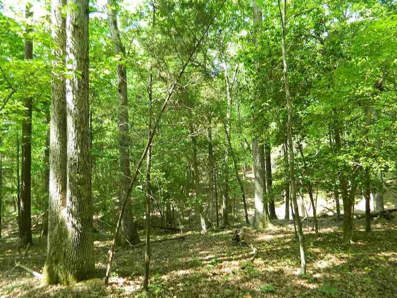 456 Osprey Ridge Dr Lot 6A, Chapel Hill, NC 27517