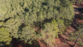461 Docs Rd Lot 2, Lillington, NC 27546