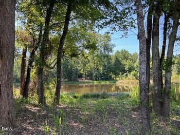463 E Clydes Pt Way, Wendell, NC 27591