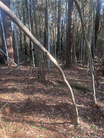 4636 Bragg Blvd, Fayetteville, NC 28303