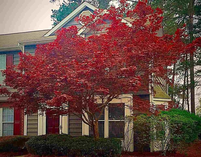 4665 Pine Trace Dr, Raleigh, NC 27613
