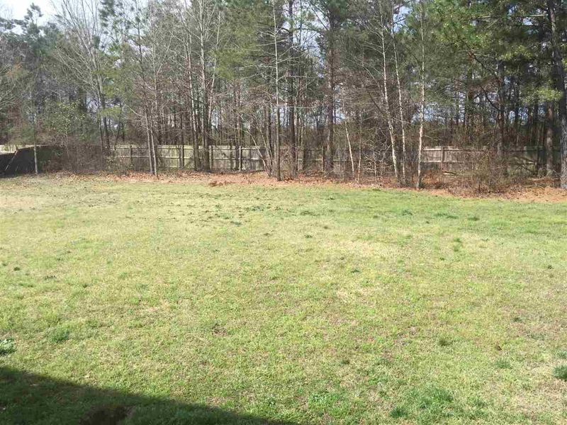 469 Blaze Ridge Dr, Smithfield, NC 27577