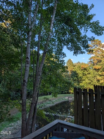 47 Abernathy Dr, Chapel Hill, NC 27517