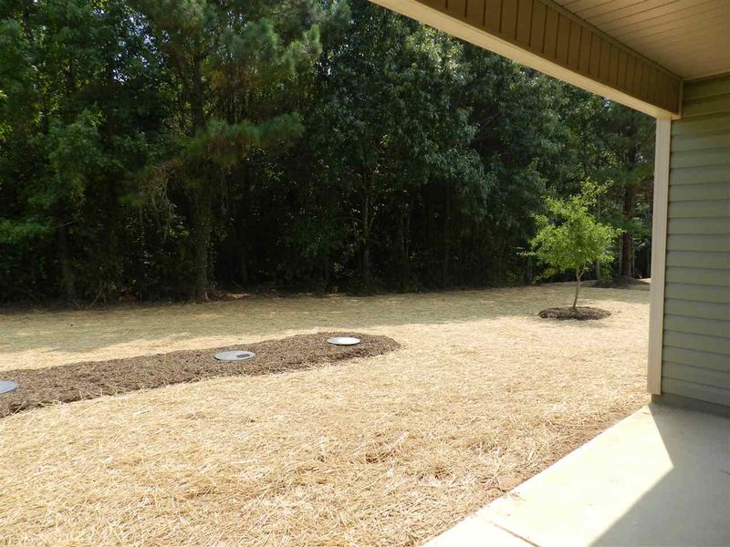 47 Castaway Ct, Clayton, NC 27520