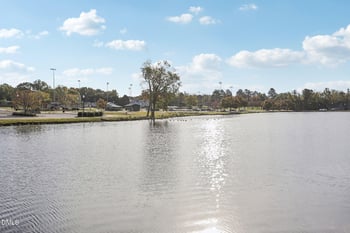 47 Thistle Patch Pl, Angier, NC 27501