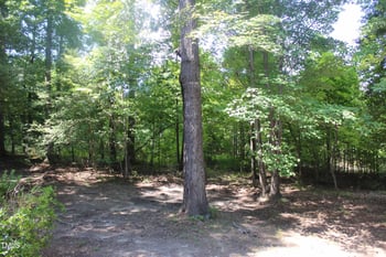 4705 Trotter Dr, Raleigh, NC 27603