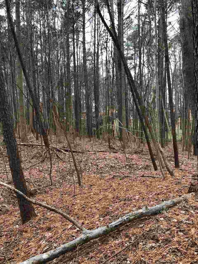 4706 Highview Pl Lot 40, Raleigh, NC 27606
