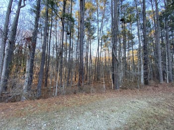 4708 Fairfield Rd Lot 11, New Hill, NC 27562