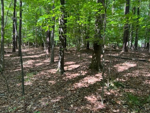 4712 C Howe St Lot C, Durham, NC 27705