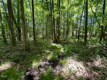 4721 Edwards Dr Lot 1, Apex, NC 27539