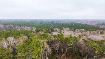 4747 Cox Mill Rd, Sanford, NC 27332