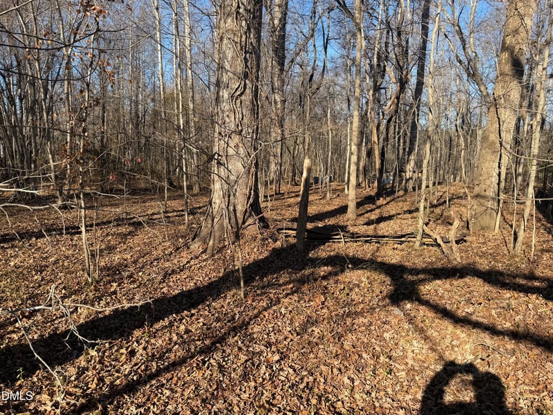 475 Lewis Winstead Lp Rd Lot 1, Roxboro, NC 27574