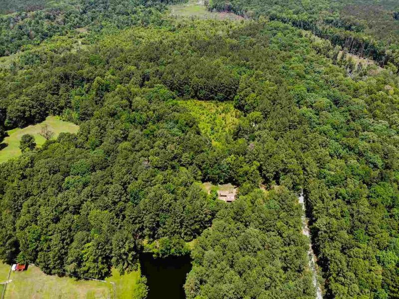 475 Shad Ln, Apex, NC 27523