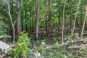 4750 Black Mountain Pa, Raleigh, NC 27612