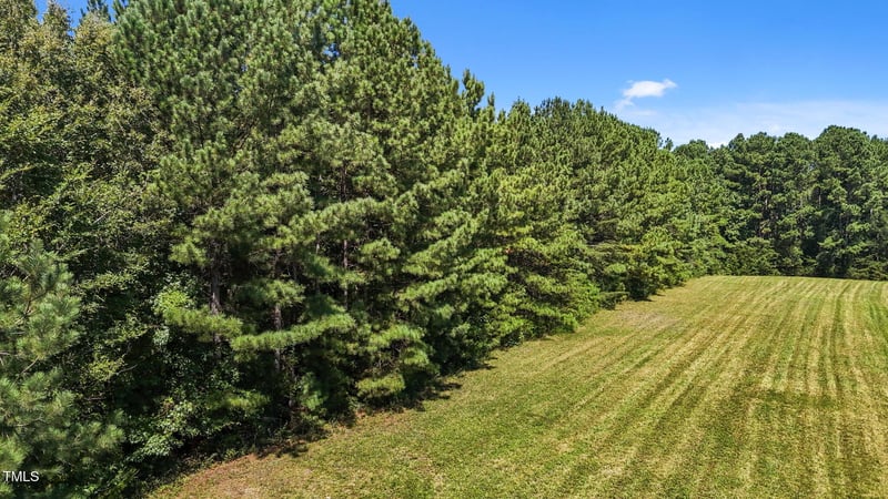 476 Pete Thomas Rd Lot 4, Pittsboro, NC 27312