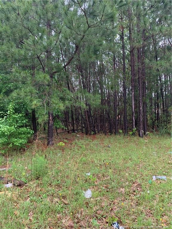 48 Ridge Haven, Sanford, NC 27332