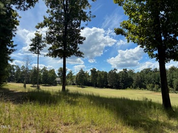 48 Sweet Meadow Ln Lot 217G, Pittsboro, NC 27312