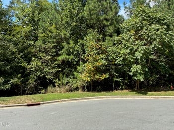 48 Sweet Meadow Ln Lot 217G, Pittsboro, NC 27312