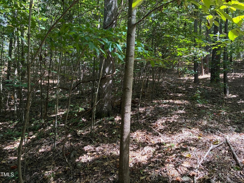 48 Sweet Meadow Ln Lot 217G, Pittsboro, NC 27312