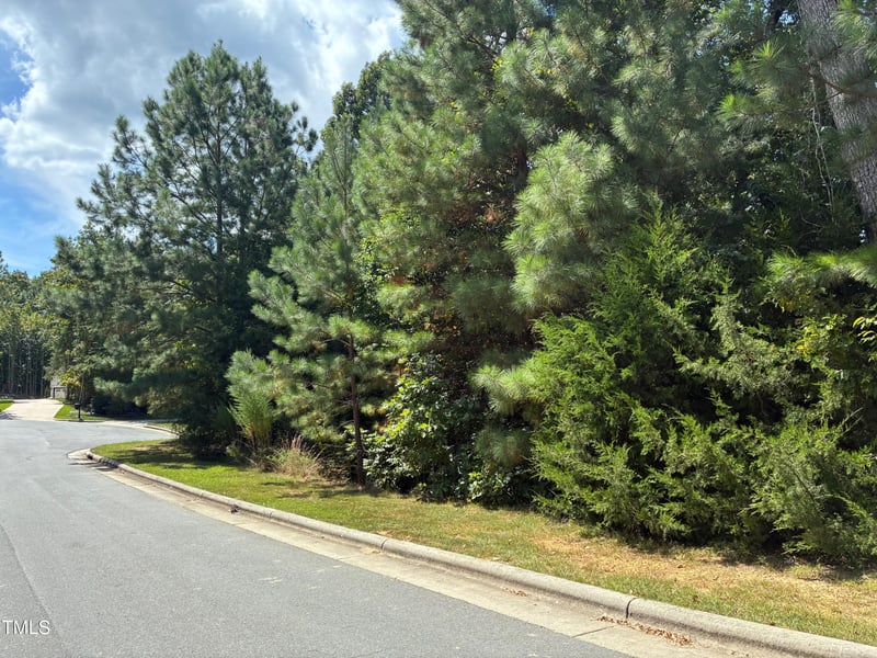 48 Sweet Meadow Ln Lot 217G, Pittsboro, NC 27312
