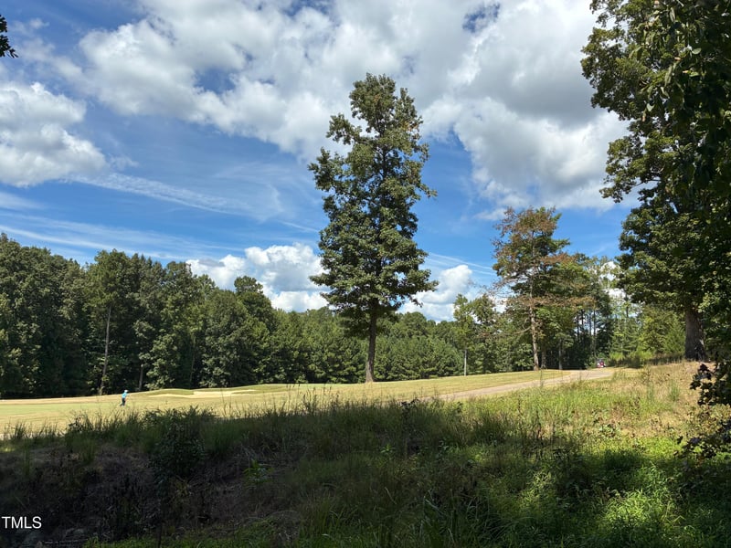 48 Sweet Meadow Ln Lot 217G, Pittsboro, NC 27312