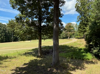 48 Sweet Meadow Ln, Pittsboro, NC 27312